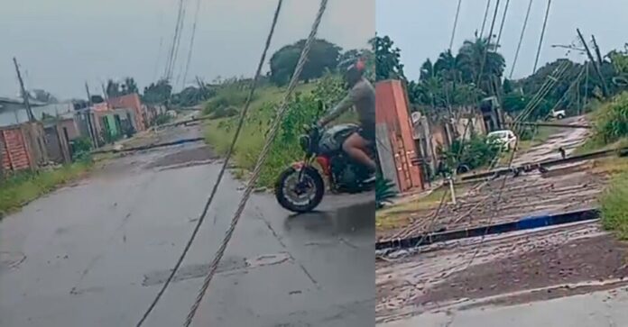 Chuvão de verão derrubou árvores e postes na Capital e ainda provocou mais de 450 raios