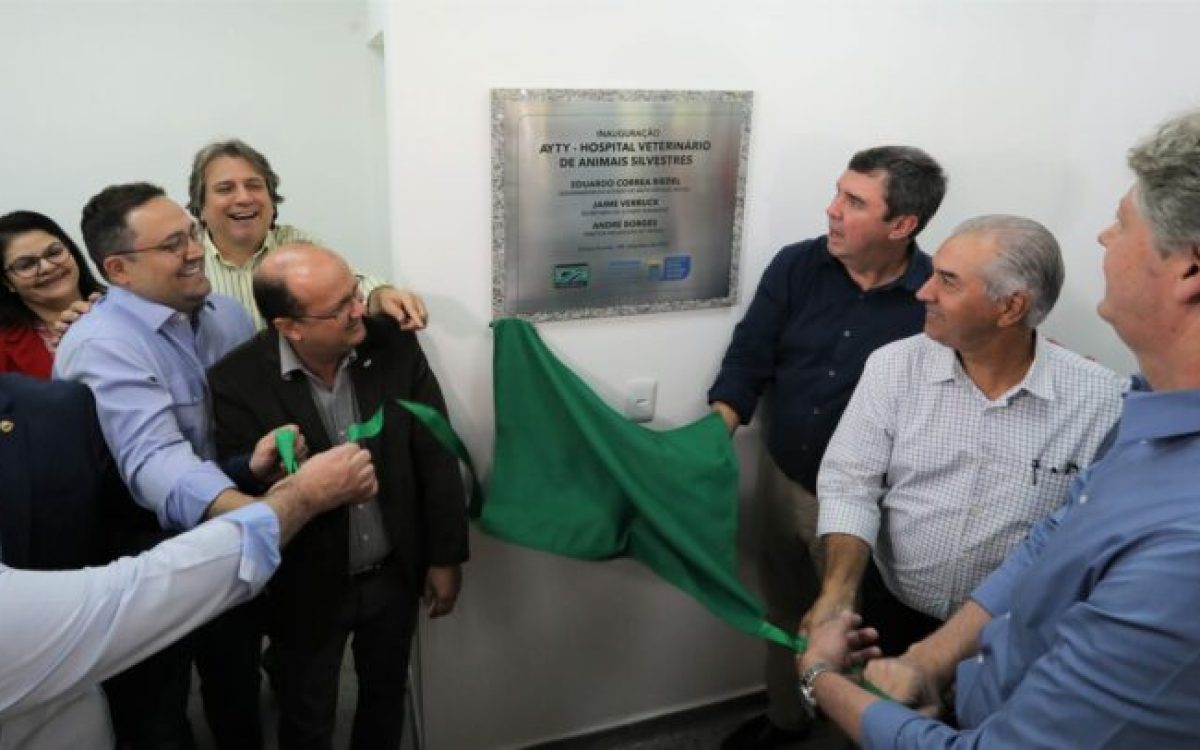 Hospital veterinário para animais silvestres torna Campo Grande referência no assunto na América