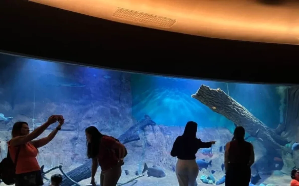 Bioparque Pantanal abre em horário especial no aniversário de Campo Grande