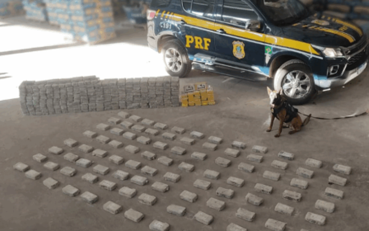 Traficantes colocaram cocaína em sacos de cimento para tentar enganar a polícia