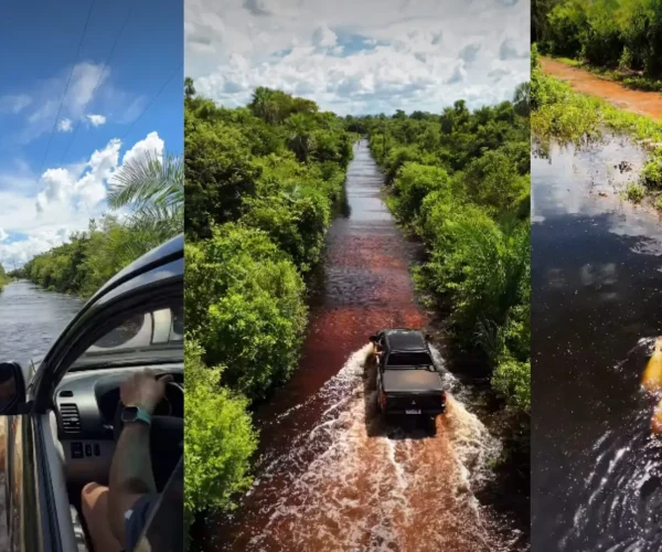 Rio Salobra transborda e cheia dá verdadeiro espetáculo no Pantanal de Miranda