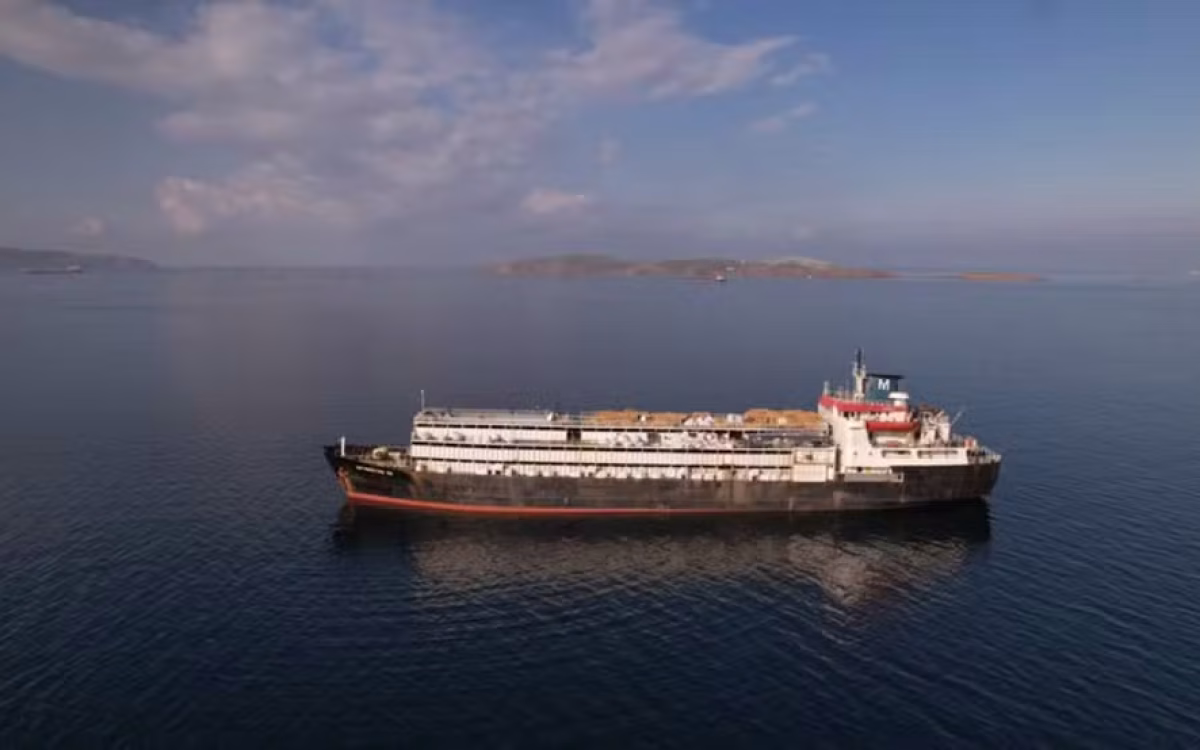 Navio que vaga há meses tenta voltar ao Uruguai com 3 mil vacas e bezerros à beira da morte: ‘Não devem sobreviver’
