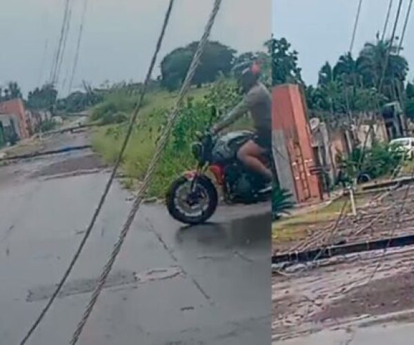 Chuvão de verão derrubou árvores e postes na Capital e ainda provocou mais de 450 raios