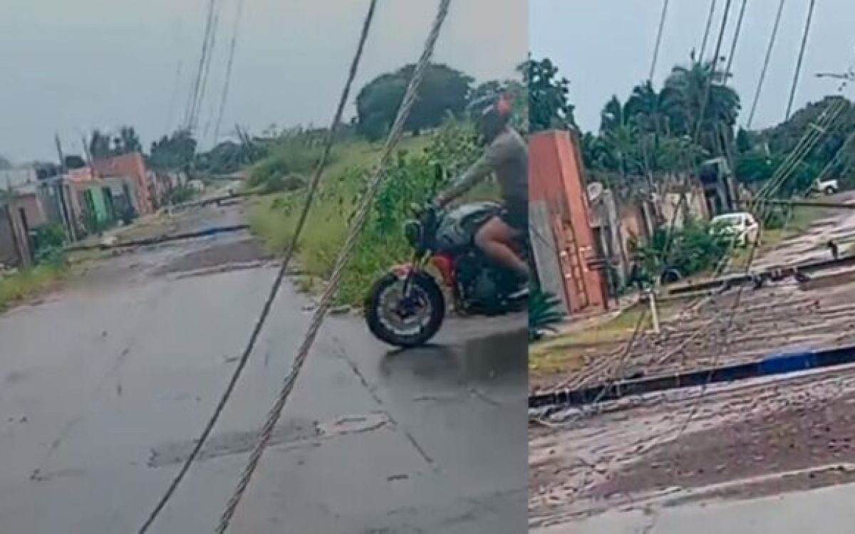 Chuvão de verão derrubou árvores e postes na Capital e ainda provocou mais de 450 raios